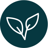 icon2 icon2